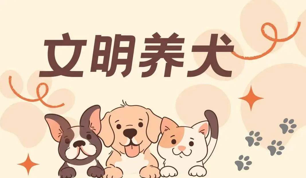 我市多措并举开展流浪犬集中清理整治行动