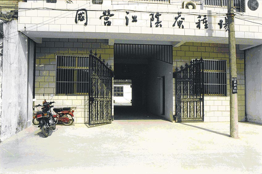 【国保申报】江阴国保申报材料的编辑整理与排版制作